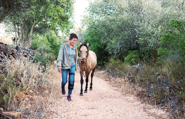 Horse Sanctuary: Une promenade dans la nature avec Rescued Horses à vos côtés - Photo 4