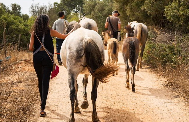 Horse Sanctuary: Une promenade dans la nature avec Rescued Horses à vos côtés - Photo 1