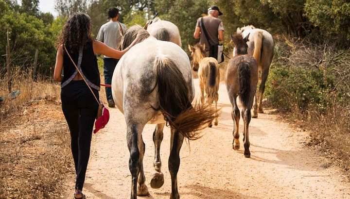 État d'être - Promenade à cheval magique