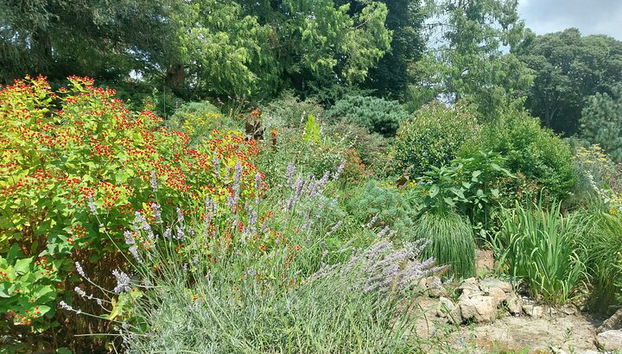 TURIN: Visite des écureuils au parc Valentino - Photo 4