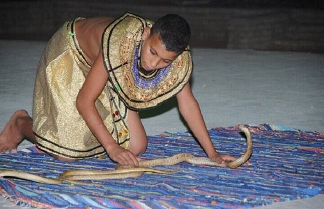Bedouin Evening, Show , Dinner & Transfers – Sharm El Sheikh - Photo 13