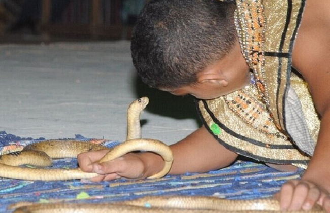 Bedouin Evening, Show , Dinner & Transfers – Sharm El Sheikh - Photo 11