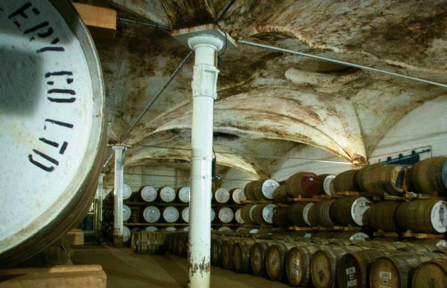 Visita privada y degustación a la destilería de whisky Highlands & Lowlands - Foto 19