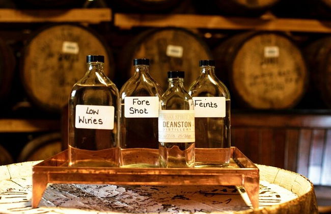 Visita privada y degustación a la destilería de whisky Highlands & Lowlands - Foto 9