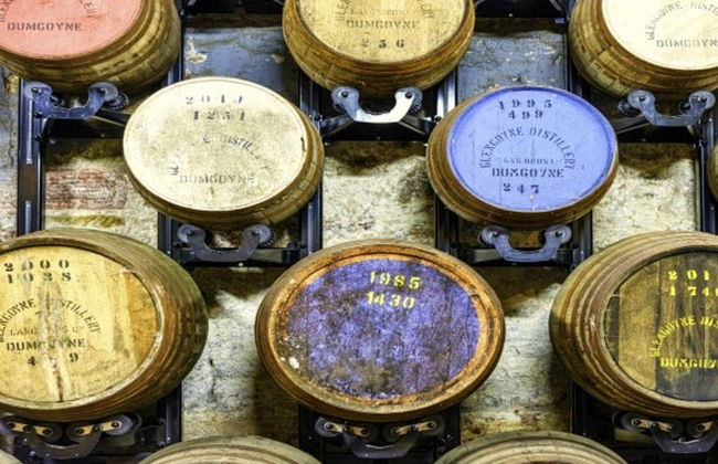 Visita privada y degustación a la destilería de whisky Highlands & Lowlands - Foto 21
