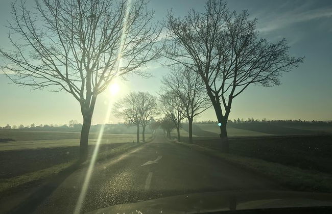 Besuchen Sie Straßburg mit einem privaten Fahrer - Bereitstellung 4 Stunden - Foto 7