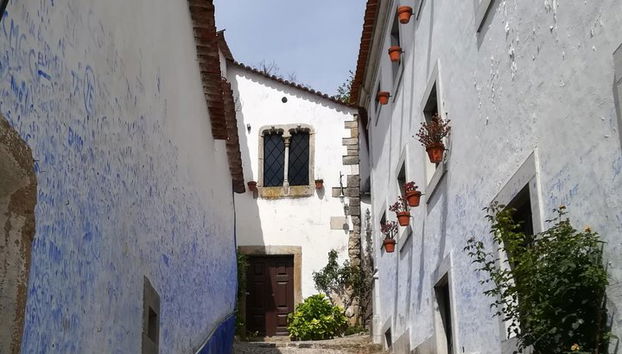 One Way Lisboa a Oporto, a través de Obidos, Nazare, Alcobaca y Aveiro - Foto 5