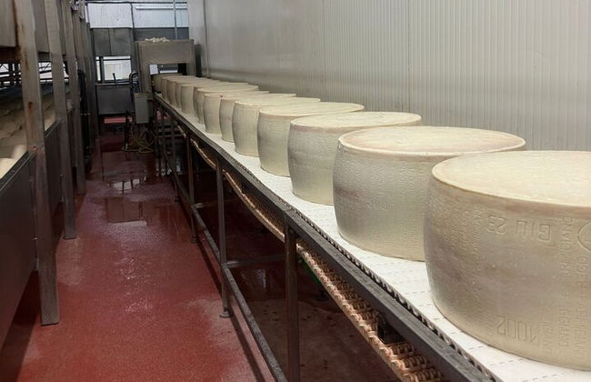Parmesan- und Balsamico-Food-Tour mit Ferrari-Museum - Foto 4