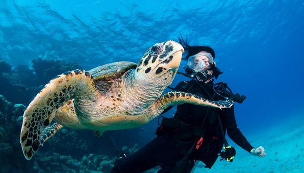 Alanya Scuba Diving com dois mergulhos, almoço e transfer - Foto 4