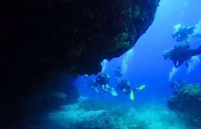 Alanya plongée sous-marine avec deux plongées, déjeuner et transfert - Photo 6