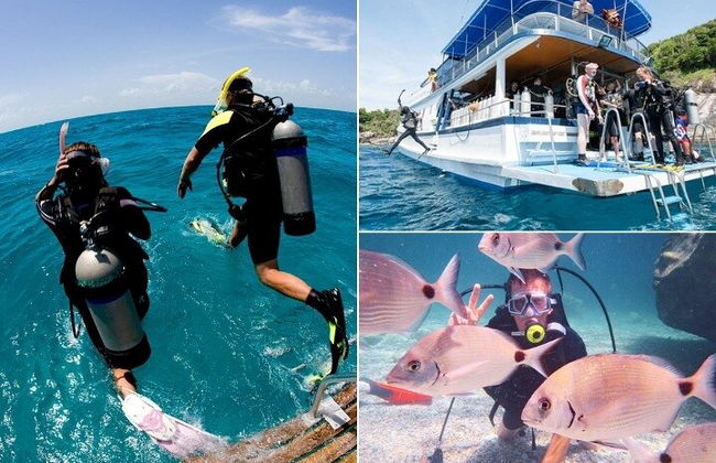 Alanya plongée sous-marine avec deux plongées, déjeuner et transfert - Photo 1