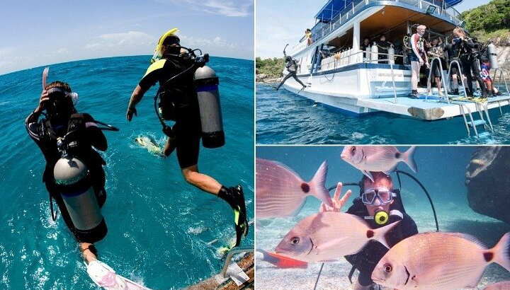 Alanya Scuba Diving com dois mergulhos, almoço e transfer - Foto 1