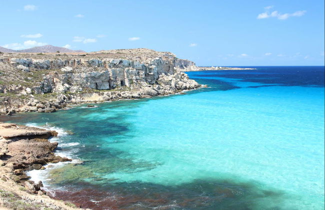 Day Trip to Favignana - Photo 7