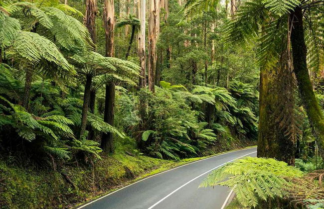 L'aventure ultime sur la neige au lac Mountain - Excursion d'une journée en petit groupe - Photo 1