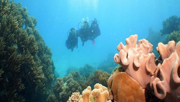 Ocean Spirit Michaelmas Cay Cruise - Photo 4