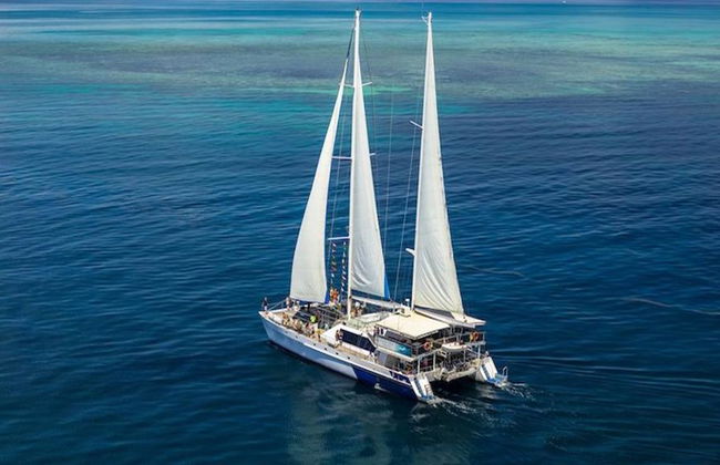 Ocean Spirit Michaelmas Cay Cruise - Photo 2