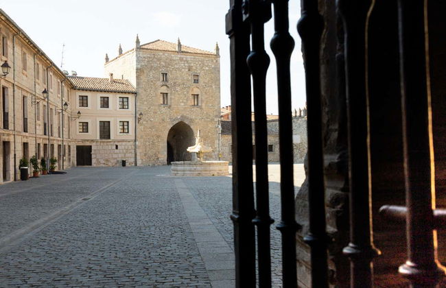 Visite guidée du monastère de Las Huelgas - Photo 3