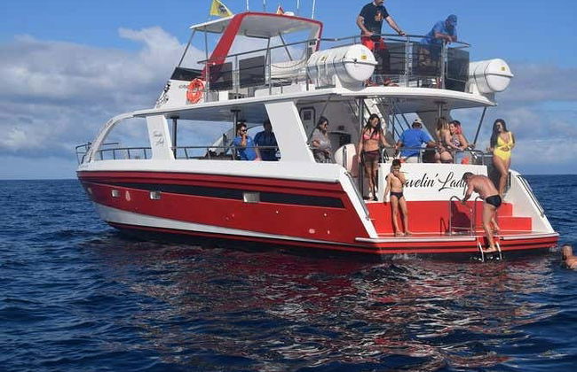 Los Cristianos Whale + Dolphin Watching Boat Tour - Photo 12