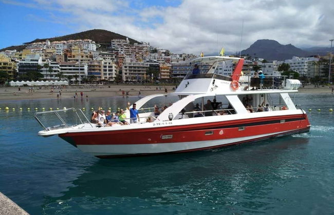 Los Cristianos Whale + Dolphin Watching Boat Tour - Photo 13