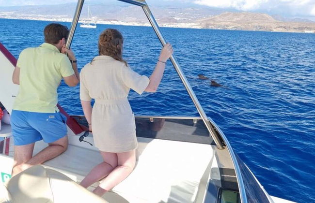 Observation de cétacés à Los Cristianos - Photo 10