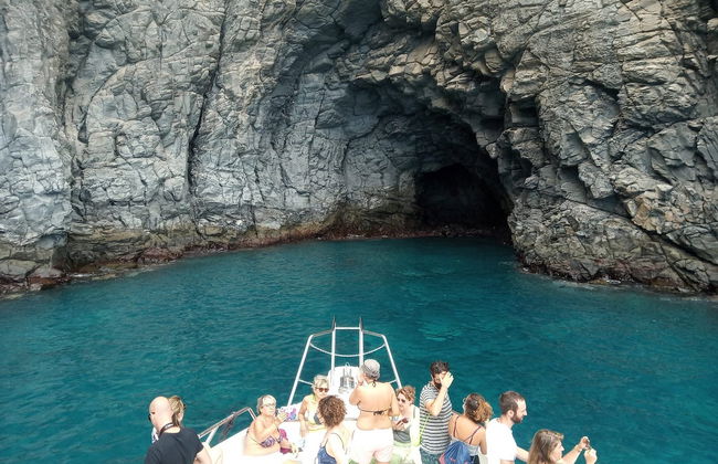 Observation de cétacés à Los Cristianos - Photo 5