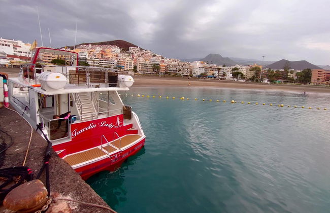 Observation de cétacés à Los Cristianos - Photo 2