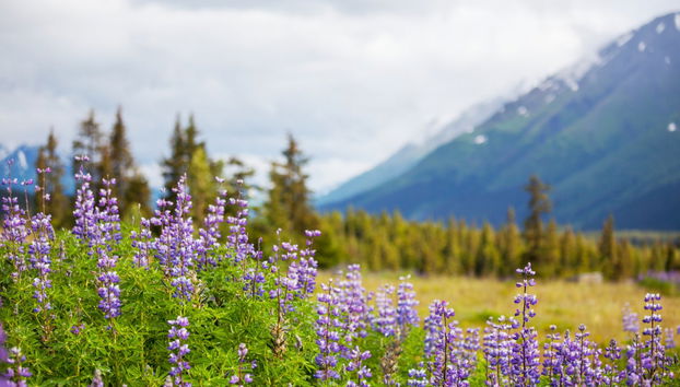 Arctic Circle Tour - Foto 3