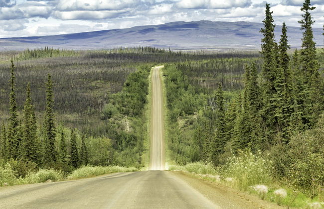 Excursión al Círculo Polar Ártico - Foto 6