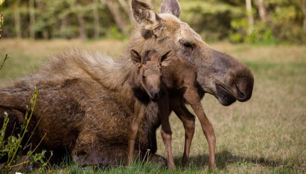 Arctic Circle Tour - Foto 5