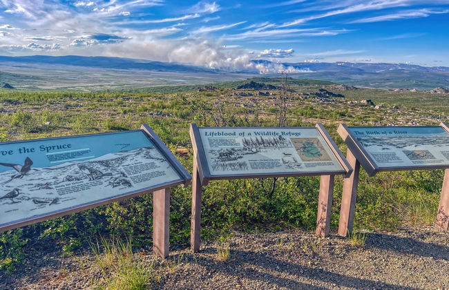 Excursión al Círculo Polar Ártico - Foto 4