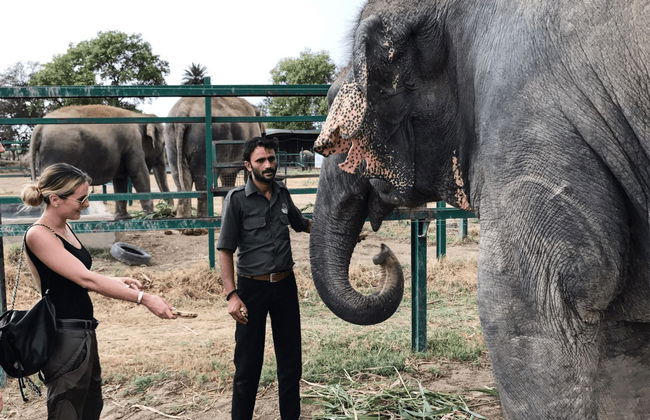 Elephant Conservation and Care Center Day Trip - Foto 1