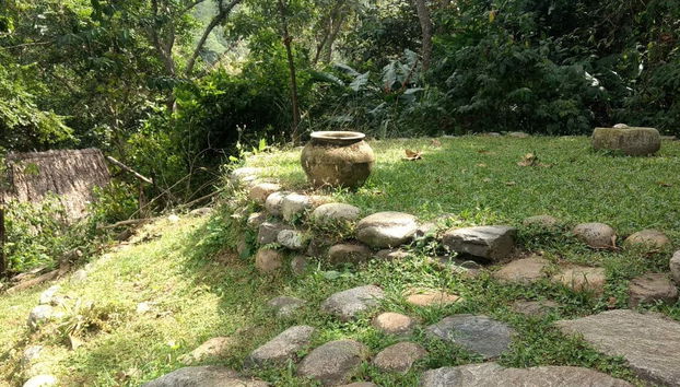 Taironaka Day Trip - Foto 2