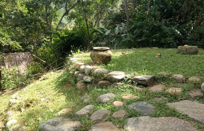 Taironaka Day Trip - Foto 2