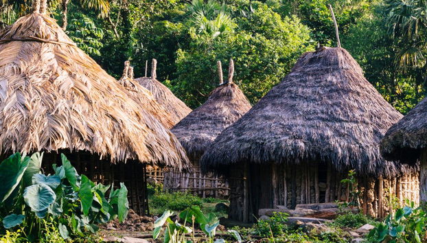 Taironaka Day Trip - Foto 4