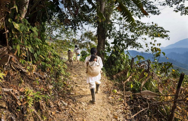 Taironaka Day Trip - Foto 1