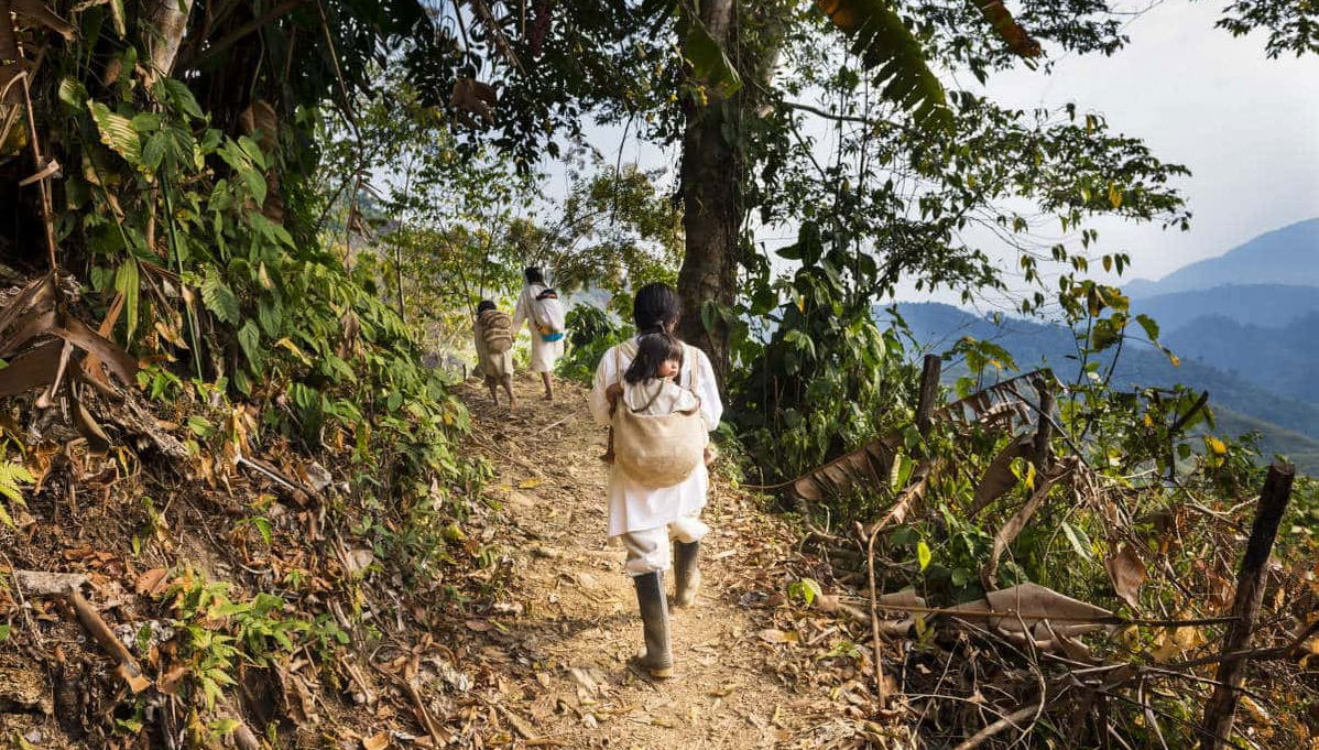 Taironaka Day Trip - Foto 1