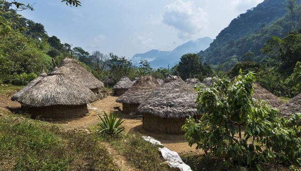 Taironaka Day Trip - Foto 3