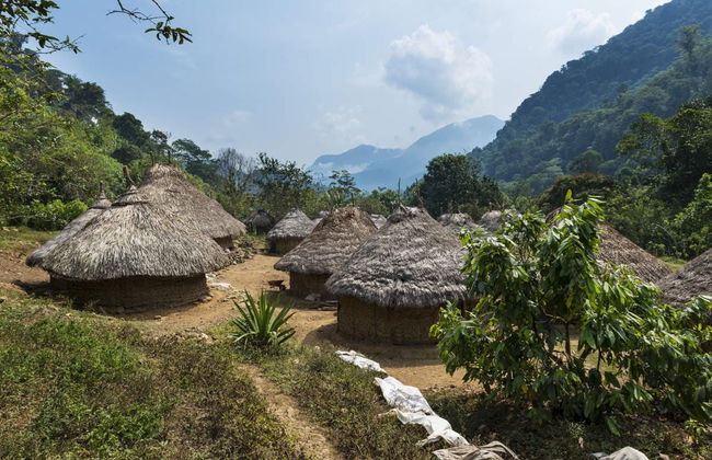 Taironaka Day Trip - Foto 3