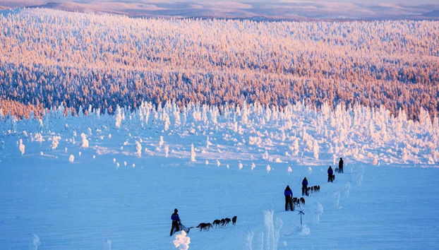 Balade en traîneau tiré par des chiens huskies à Rovaniemi - Photo 2