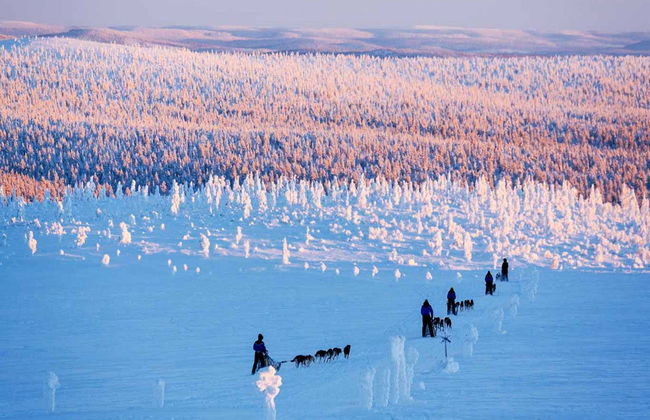 Husky Sleigh Ride - Photo 2