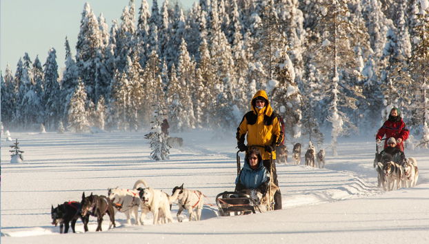 Paseo en trineo de perros husky por Rovaniemi - Foto 2