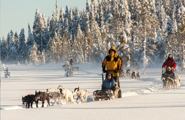 Husky Sleigh Ride - Photo 1