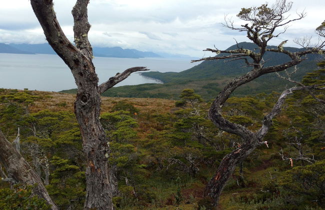 Trekking por el Monte Tarn - Foto 7