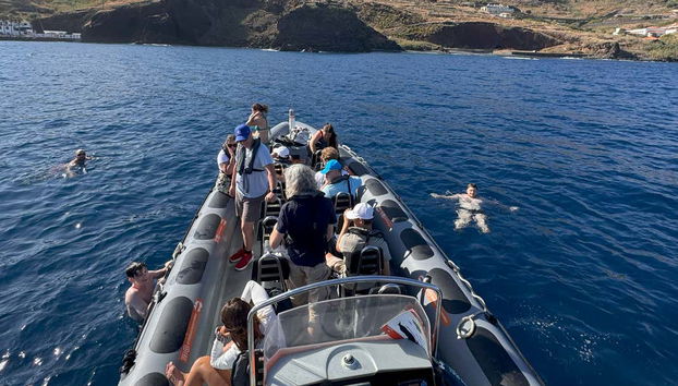 Avistamiento de delfines y ballenas en catamarán - Foto 3