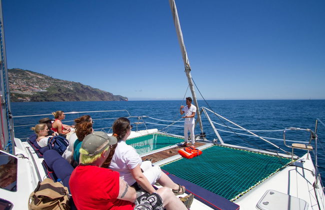 Avistamiento de delfines y ballenas en catamarán - Foto 2
