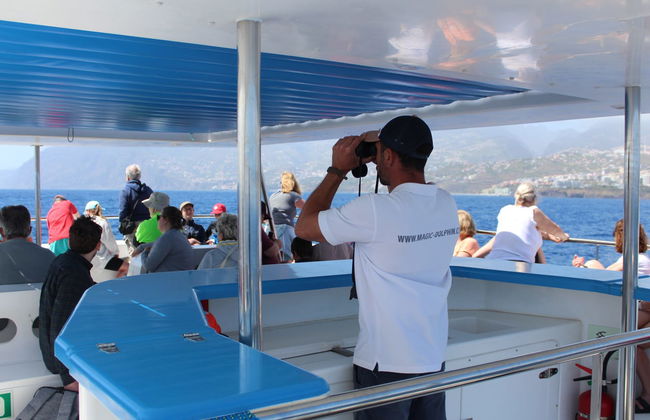 Avistamiento de delfines y ballenas en catamarán - Foto 10