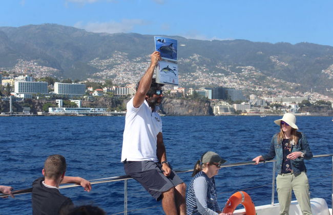 Avistamiento de delfines y ballenas en catamarán - Foto 9