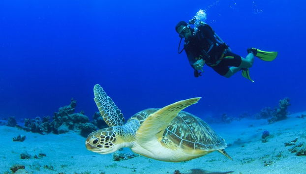 Curso de buceo PADI Open Water - Foto 2