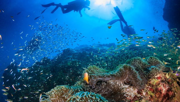 Curso de buceo PADI Open Water - Foto 5