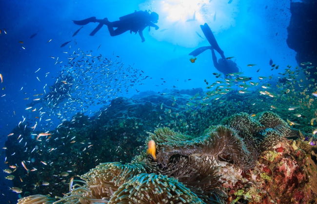 Curso de buceo PADI Open Water - Foto 5